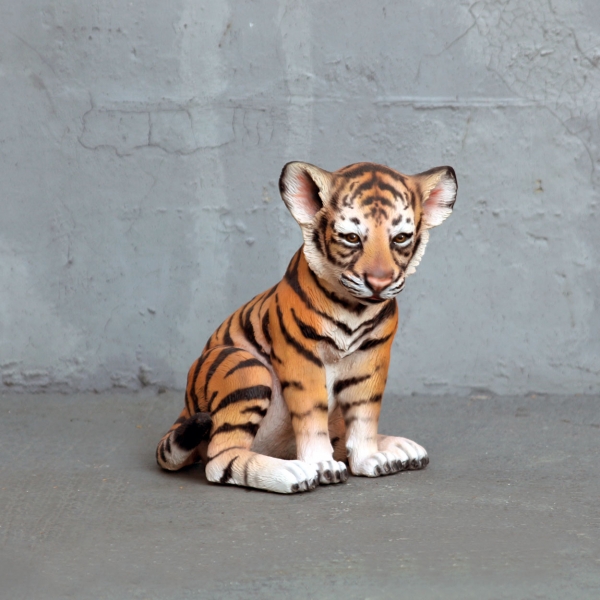 Tiger Cub Sitting